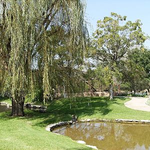 Eastern view of grounds