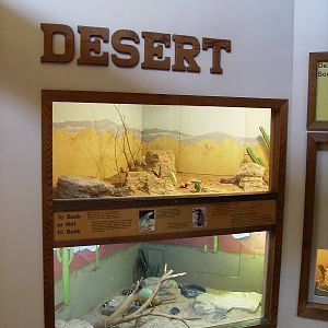 Inside Wild Habitats