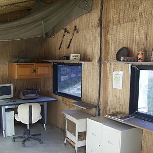 Chimp Research Hut