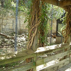Old-style Limestone grottos