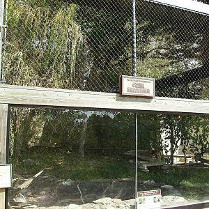 Asian Small-clawed Otter exhibit