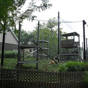 Orangutan Enclosure