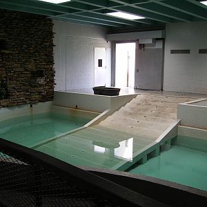 Indoor Hippo Pool