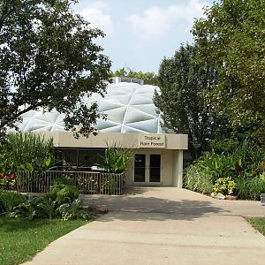 Tropical rainforest Building