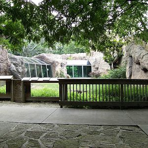 Outdoor View of Gorilla exhibit
