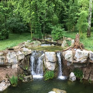 Sumatran Tiger exhibit