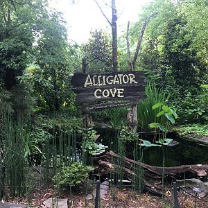 Alligator cove sign