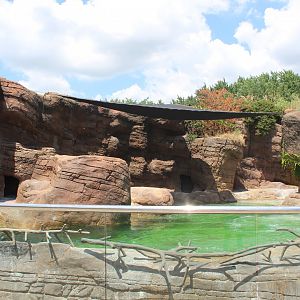 Oceans - Sea Lion & Gray Seal Exhibit