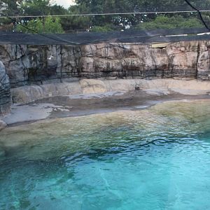 Oceans - Walrus Exhibit