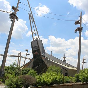 International Orangutan Center