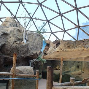 Desert Dome Overview