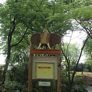 Tembo Camp - Entrance (New in 2020)