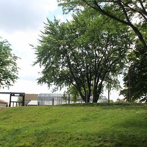 Tembo Camp - African Elephant Exhibit (New in 2020)