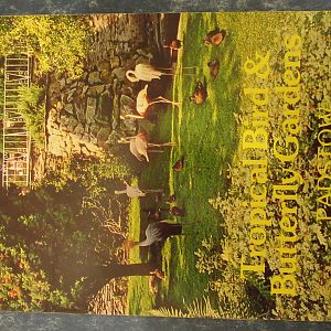 Padstow Bird Garden Guide