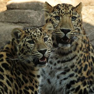 Lena and Luka together grown alot