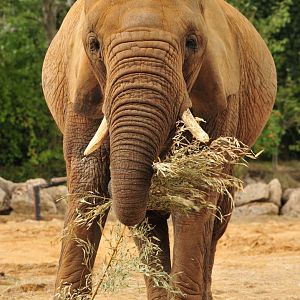 Tanya enjoying a evening meal