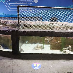 Touchpool -Tidal Touchpool