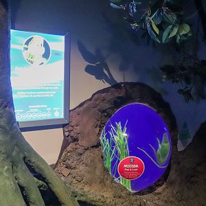 Potbelly Seahorse Tank - Seahorse Sanctuary