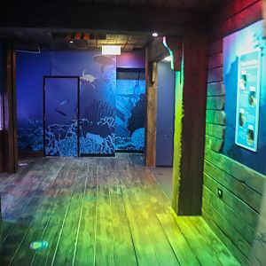 General Walkway - Coastal Wreck