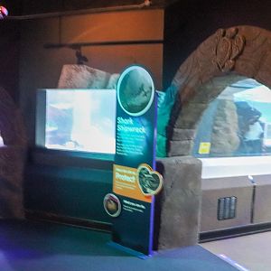 Main Entrance - Ocean Tunnel