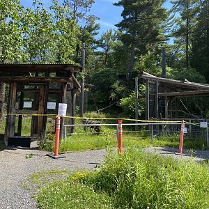 Birds of prey damaged bald eagle and Great horned owl exhibits