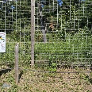 Northern Territory empty white tailed deer exhibit
