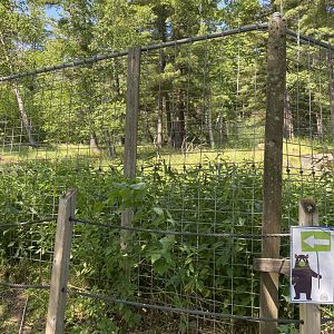 Northern Territory empty peer David’s deer exhibit