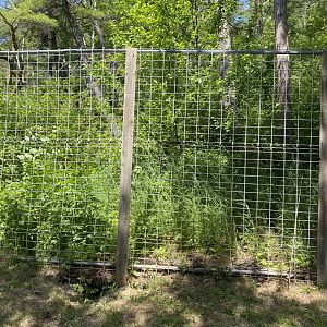 Northern Territory empty Pete David’s deer exhibit