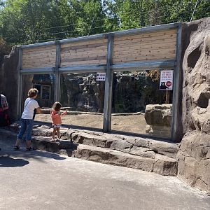 Bear country new Alaskan brown bear exhibit