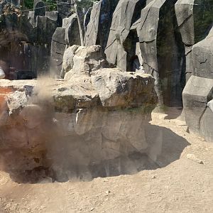 Bear country new Alaskan brown bear exhibit