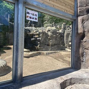 Bear country new Alaskan brown bear exhibit