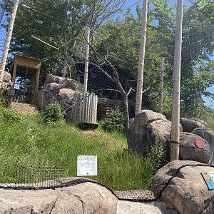 Eurasian eagle owl exhibit