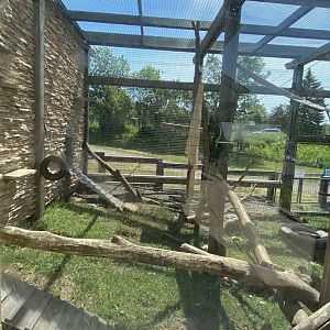 Primate conservation center colobus monkey and cape porcupine exhibit