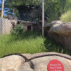 Eurasian eagle owl exhibit