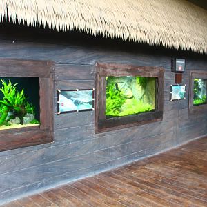 Mekong River - Mekong Jewels