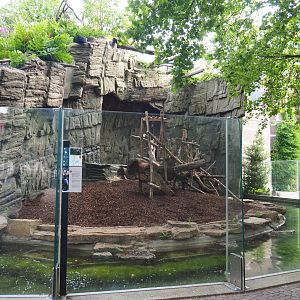 Mandrill outdoor terrace, 2020-06-28