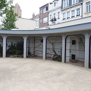 Reconstruction of 1856 raptor aviaries as parrot aviaries - Aviary Swift parrot, 2020-05-24