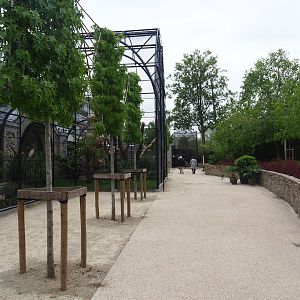 Walkway in between parrot aviaries and okapi paddock, 2020-05-24