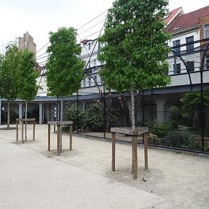 Parrot aviaries viewing area, 2020-05-24
