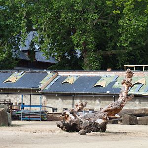 Construction site pig house, 2020-06-28
