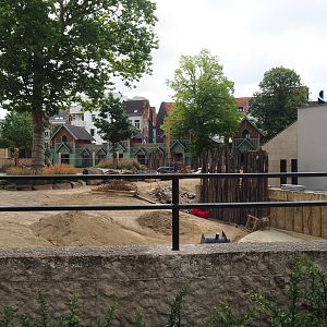 Construction site savanna paddock, 2020-06-28