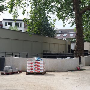 Future Yellow mongoose and Kirk's dik-dik (?) exhibits, 2020-06-28