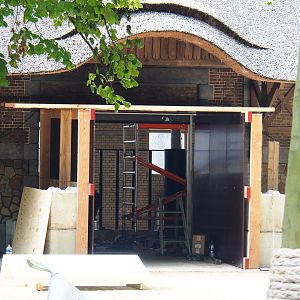 Construction outside White rhinoceros stables in historic bovine house, 2020-06-28