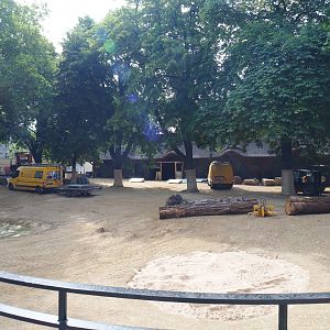 Construction site White rhinoceros paddock outside historic bovine house, 2020-06-28, 2020-06-28