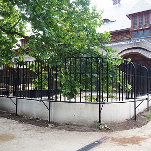 Future antelope/ostrich separation paddock next to historic bovine house, 2020-06-28