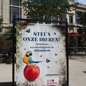 Sign Support the zoo by sponsoring animal food, 2020-06-28