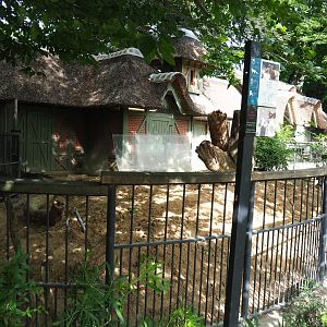 Former yellow mongoose exhibit being renovated to house Hermann's tortoises, 2020-06-28