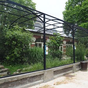 European wader bird aviary, 2020-05-24