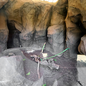 Jul. 2020 - Africa: Okavango Delta - Cape Porcupine Exhibit