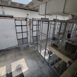 Jul. 2020 - Africa: Okavango Delta - Giraffe Stalls